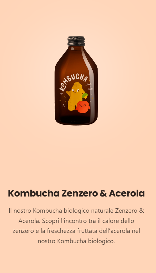 KOMBUCHA ZENZERO & ACEROLA Pz.10