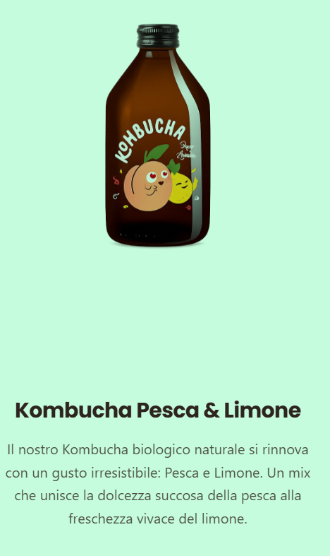 KOMBUCHA PESCA & LIMONE Pz.10