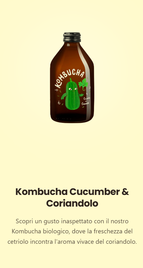 KOMBUCHA CUCUMBER & CORIANDOLO Pz.10
